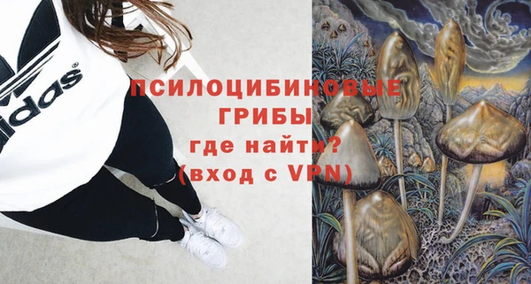 бошки Новозыбков