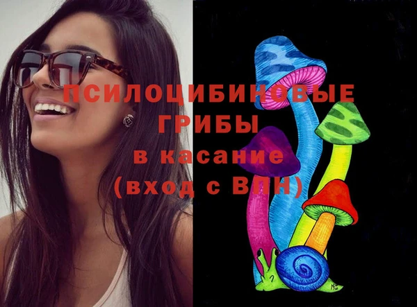 ГАЛЛЮЦИНОГЕННЫЕ ГРИБЫ Новодвинск