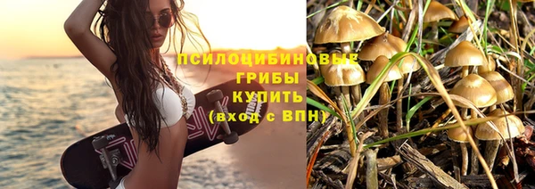 бошки Новозыбков