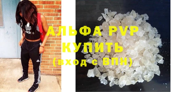 бошки Новозыбков
