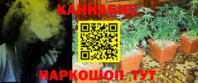 дживик Бийск