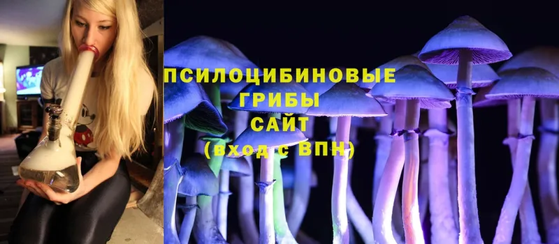 Псилоцибиновые грибы Cubensis  что такое наркотик  Изобильный 