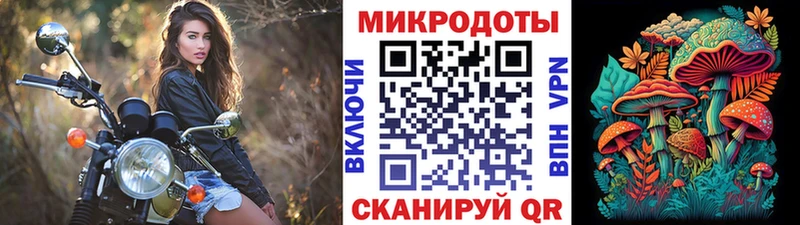 где купить наркотик  Изобильный  Псилоцибиновые грибы Psilocybine cubensis 