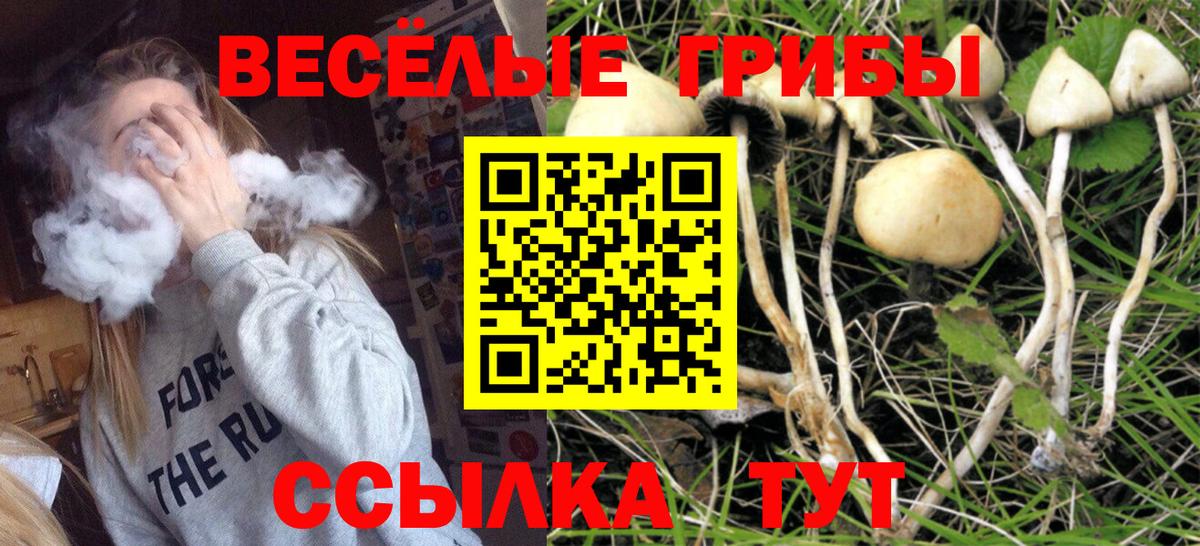 Галлюциногенные грибы прущие грибы Изобильный